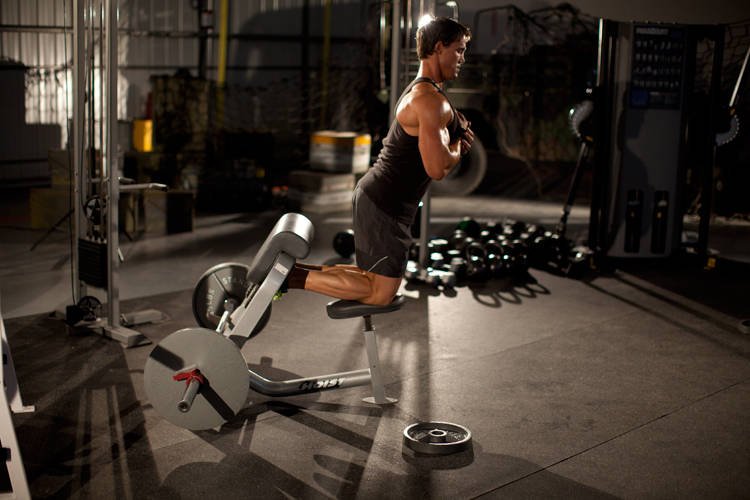 Hamstrings: Nordic / Glute-Ham Raise - start position