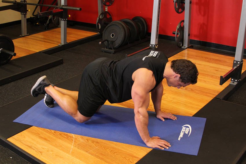 Glute Kickback - start position